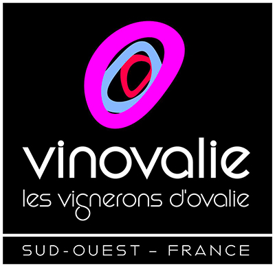 Logo de Vinovalie